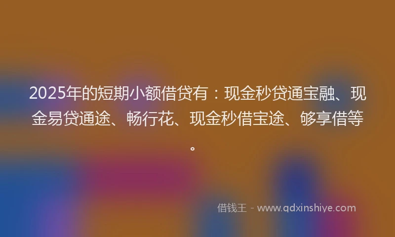 2025年的短期小额借贷有：现金秒贷通宝融、现金易贷通途、畅行花、现金秒借宝途、够享借等。