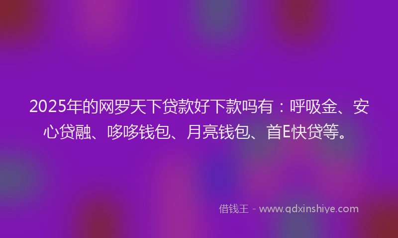 2025年的网罗天下贷款好下款吗有：呼吸金、安心贷融、哆哆钱包、月亮钱包、首E快贷等。