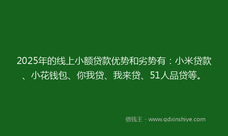 2025年的线上小额贷款优势和劣势有：小米贷款、小花钱包、你我贷、我来贷、51人品贷等。