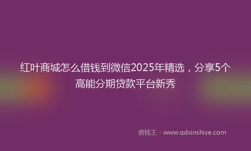 红叶商城怎么借钱到微信2025年精选，分享5个高能分期贷款平台新秀
