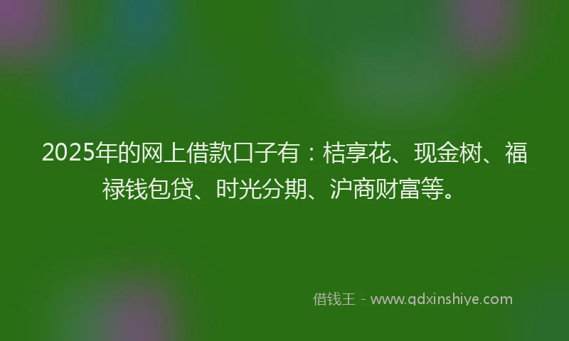 2025年的网上借款口子有：桔享花、现金树、福禄钱包贷、时光分期、沪商财富等。