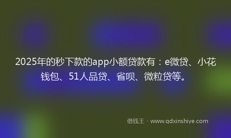 2025年的秒下款的app小额贷款有：e微贷、小花钱包、51人品贷、省呗、微粒贷等。