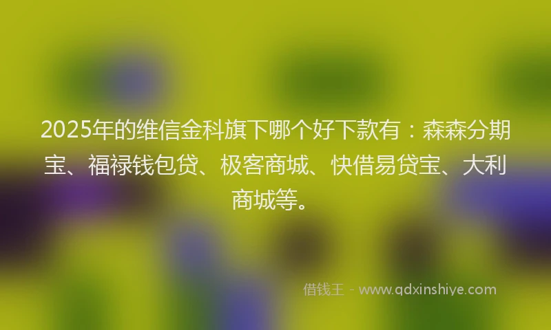 2025年的维信金科旗下哪个好下款有：森森分期宝、福禄钱包贷、极客商城、快借易贷宝、大利商城等。