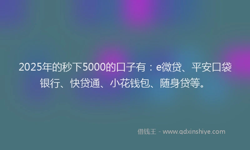 2025年的秒下5000的口子有：e微贷、平安口袋银行、快贷通、小花钱包、随身贷等。