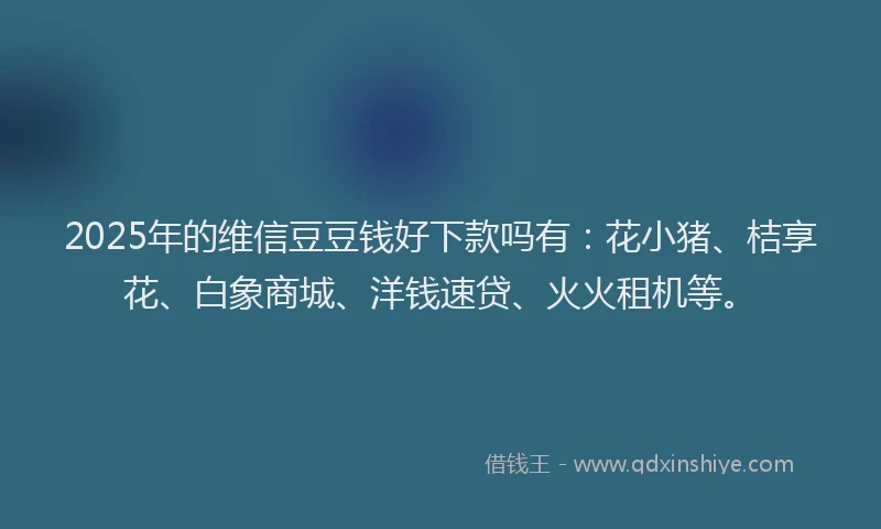 2025年的维信豆豆钱好下款吗有：花小猪、桔享花、白象商城、洋钱速贷、火火租机等。