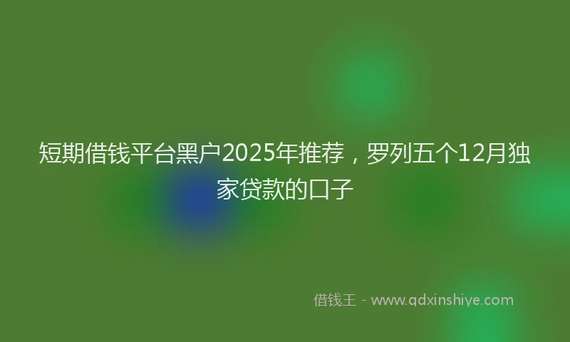 短期借钱平台黑户2025年推荐，罗列五个12月独家贷款的口子