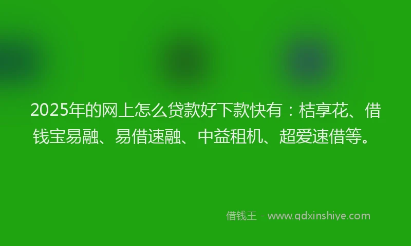 2025年的网上怎么贷款好下款快有：桔享花、借钱宝易融、易借速融、中益租机、超爱速借等。