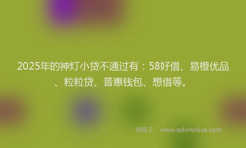 2025年的神灯小贷不通过有：58好借、易橙优品、粒粒贷、普惠钱包、想借等。