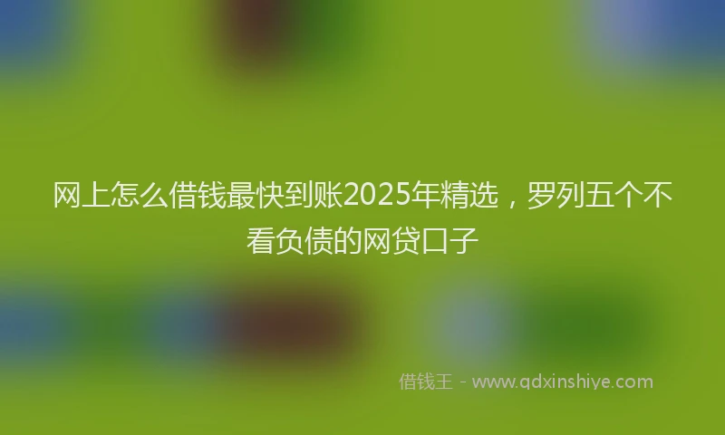 网上怎么借钱最快到账2025年精选，罗列五个不看负债的网贷口子