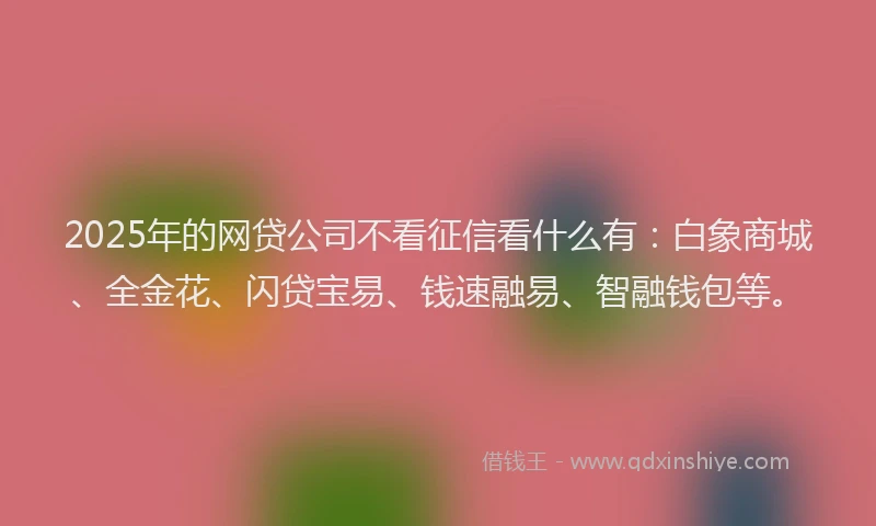 2025年的网贷公司不看征信看什么有：白象商城、全金花、闪贷宝易、钱速融易、智融钱包等。