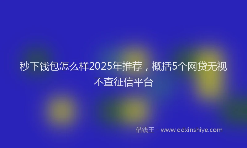 秒下钱包怎么样2025年推荐，概括5个网贷无视不查征信平台