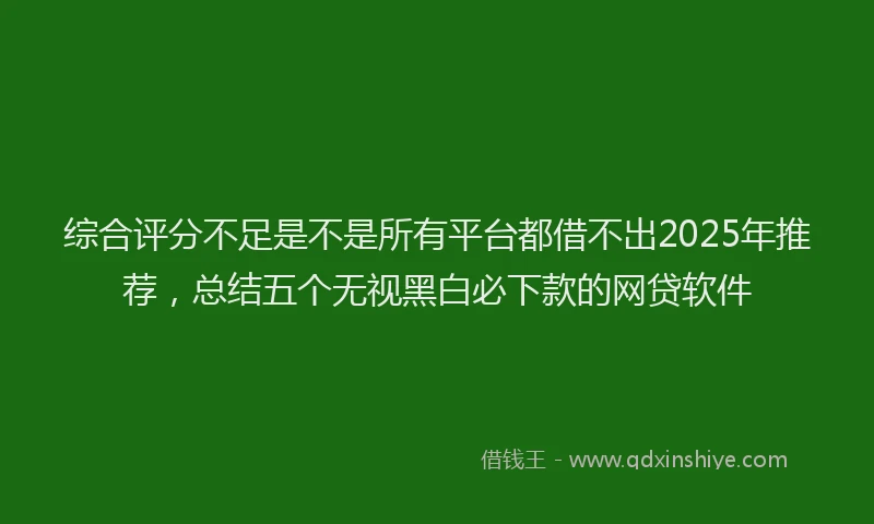 综合评分不足是不是所有平台都借不出2025年推荐，总结五个无视黑白必下款的网贷软件