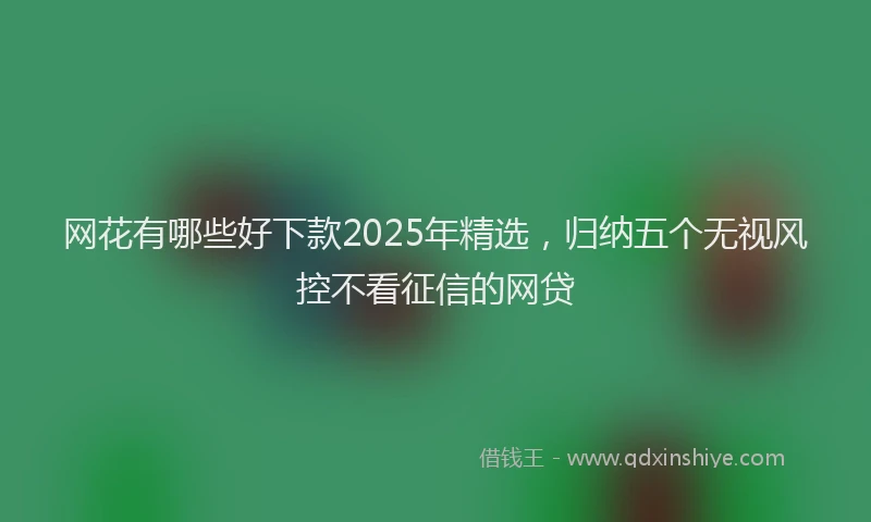 网花有哪些好下款2025年精选，归纳五个无视风控不看征信的网贷