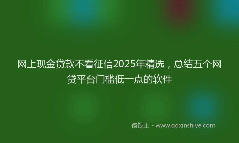 网上现金贷款不看征信2025年精选，总结五个网贷平台门槛低一点的软件