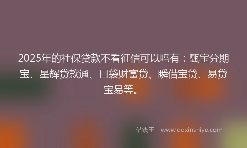 2025年的社保贷款不看征信可以吗有：甄宝分期宝、星辉贷款通、口袋财富贷、瞬借宝贷、易贷宝易等。