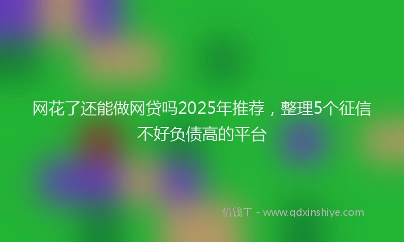 网花了还能做网贷吗2025年推荐，整理5个征信不好负债高的平台