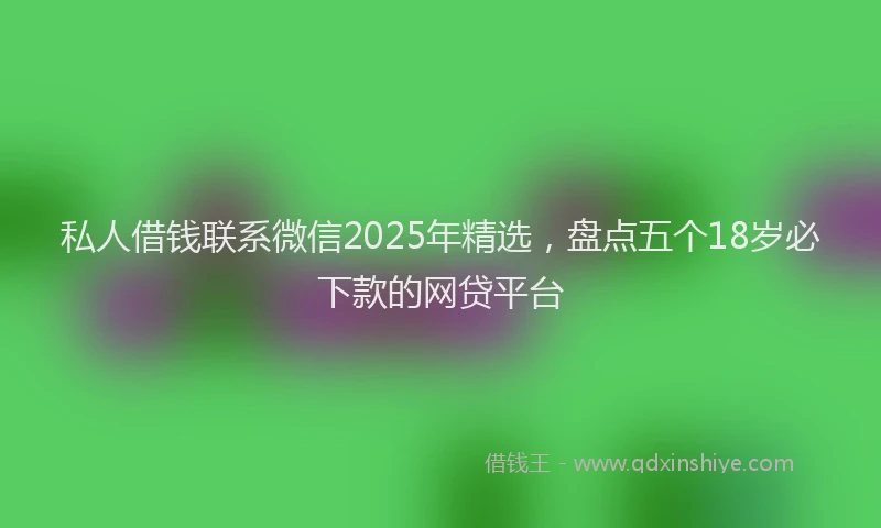 私人借钱联系微信2025年精选，盘点五个18岁必下款的网贷平台