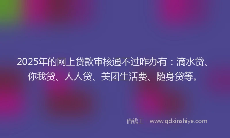 2025年的网上贷款审核通不过咋办有：滴水贷、你我贷、人人贷、美团生活费、随身贷等。