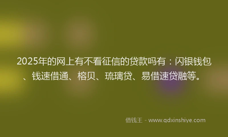 2025年的网上有不看征信的贷款吗有：闪银钱包、钱速借通、榕贝、琉璃贷、易借速贷融等。