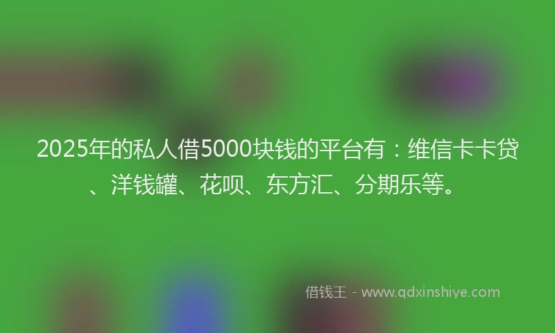 2025年的私人借5000块钱的平台有：维信卡卡贷、洋钱罐、花呗、东方汇、分期乐等。