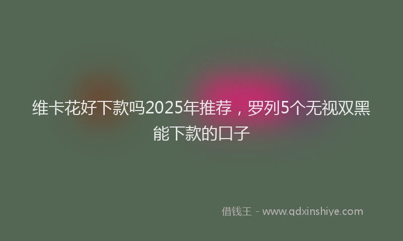 维卡花好下款吗2025年推荐，罗列5个无视双黑能下款的口子