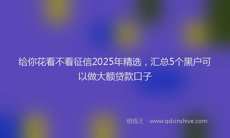 给你花看不看征信2025年精选，汇总5个黑户可以做大额贷款口子