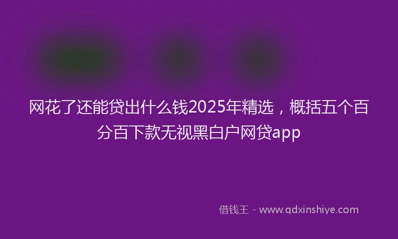 网花了还能贷出什么钱2025年精选，概括五个百分百下款无视黑白户网贷app