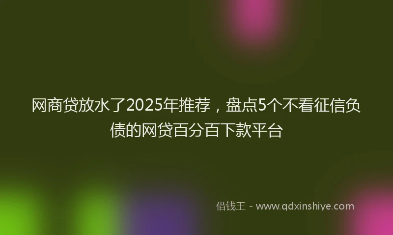 网商贷放水了2025年推荐，盘点5个不看征信负债的网贷百分百下款平台