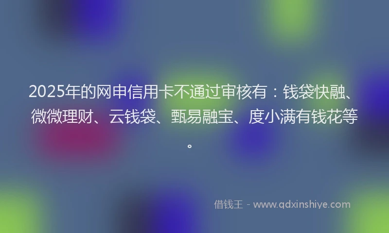 2025年的网申信用卡不通过审核有：钱袋快融、微微理财、云钱袋、甄易融宝、度小满有钱花等。