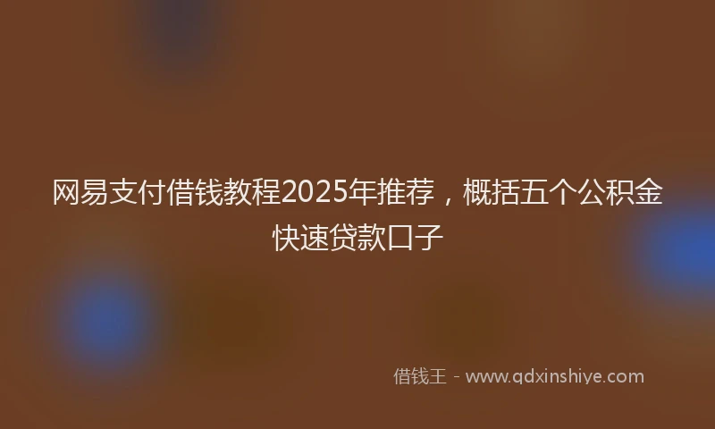 网易支付借钱教程2025年推荐，概括五个公积金快速贷款口子