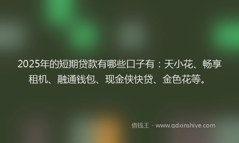 2025年的短期贷款有哪些口子有：天小花、畅享租机、融通钱包、现金侠快贷、金色花等。