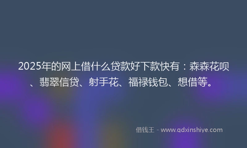 2025年的网上借什么贷款好下款快有：森森花呗、翡翠信贷、射手花、福禄钱包、想借等。