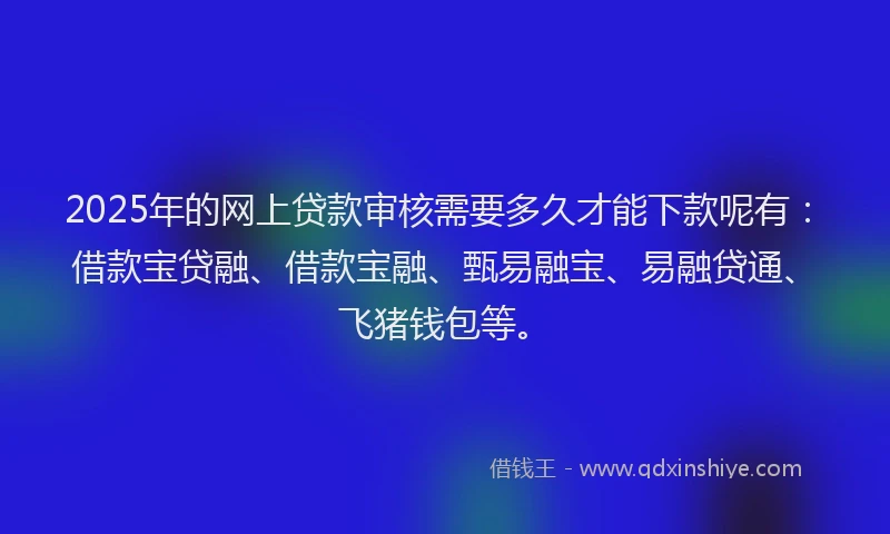 2025年的网上贷款审核需要多久才能下款呢有：借款宝贷融、借款宝融、甄易融宝、易融贷通、飞猪钱包等。