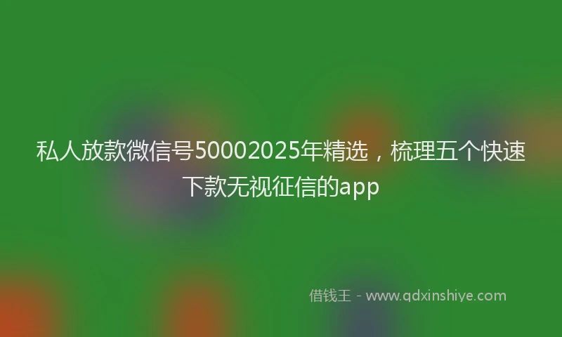 私人放款微信号50002025年精选，梳理五个快速下款无视征信的app