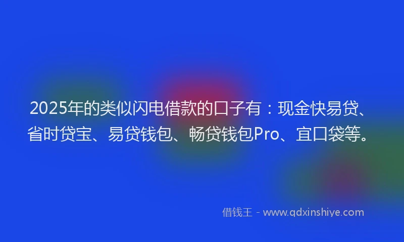 2025年的类似闪电借款的口子有：现金快易贷、省时贷宝、易贷钱包、畅贷钱包Pro、宜口袋等。