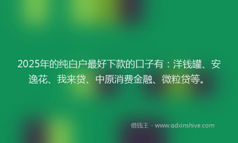 2025年的纯白户最好下款的口子有：洋钱罐、安逸花、我来贷、中原消费金融、微粒贷等。