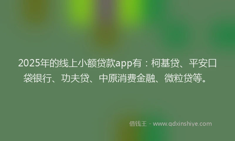 2025年的线上小额贷款app有：柯基贷、平安口袋银行、功夫贷、中原消费金融、微粒贷等。