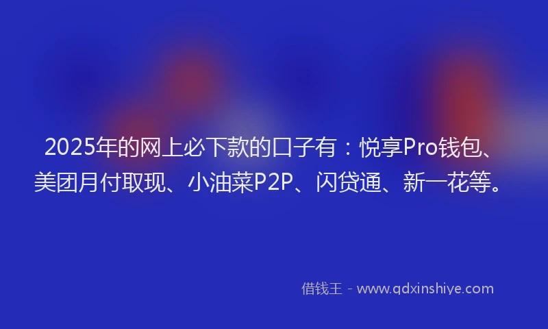 2025年的网上必下款的口子有：悦享Pro钱包、美团月付取现、小油菜P2P、闪贷通、新一花等。