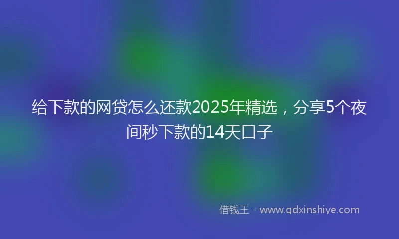给下款的网贷怎么还款2025年精选，分享5个夜间秒下款的14天口子