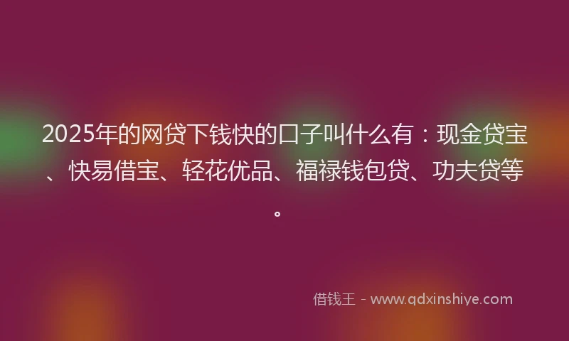 2025年的网贷下钱快的口子叫什么有：现金贷宝、快易借宝、轻花优品、福禄钱包贷、功夫贷等。