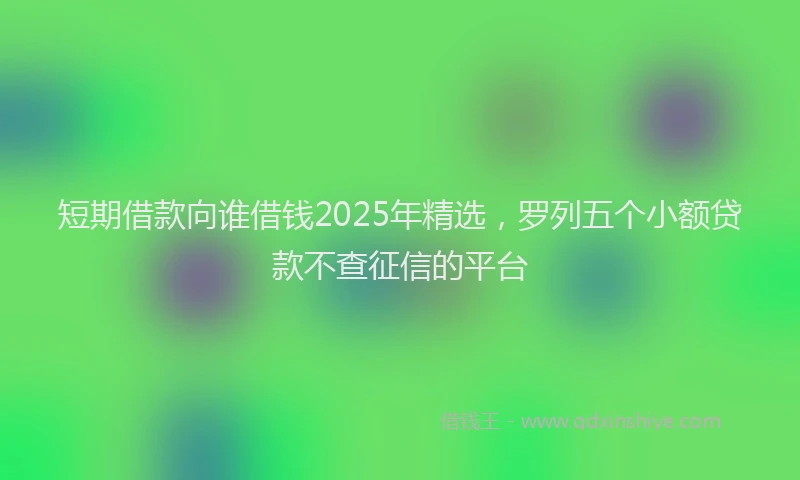 短期借款向谁借钱2025年精选，罗列五个小额贷款不查征信的平台