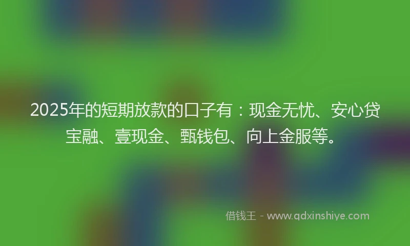 2025年的短期放款的口子有：现金无忧、安心贷宝融、壹现金、甄钱包、向上金服等。