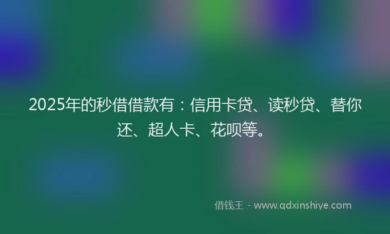 2025年的秒借借款有：信用卡贷、读秒贷、替你还、超人卡、花呗等。