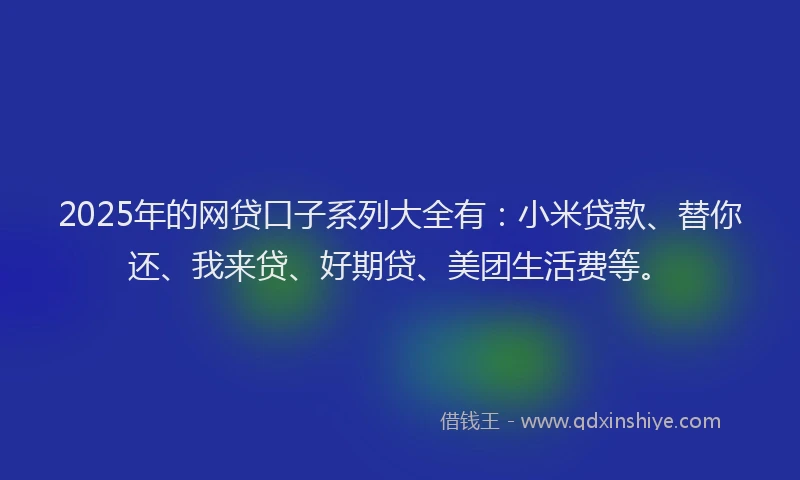 2025年的网贷口子系列大全有：小米贷款、替你还、我来贷、好期贷、美团生活费等。