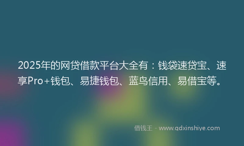 2025年的网贷借款平台大全有：钱袋速贷宝、速享Pro+钱包、易捷钱包、蓝鸟信用、易借宝等。