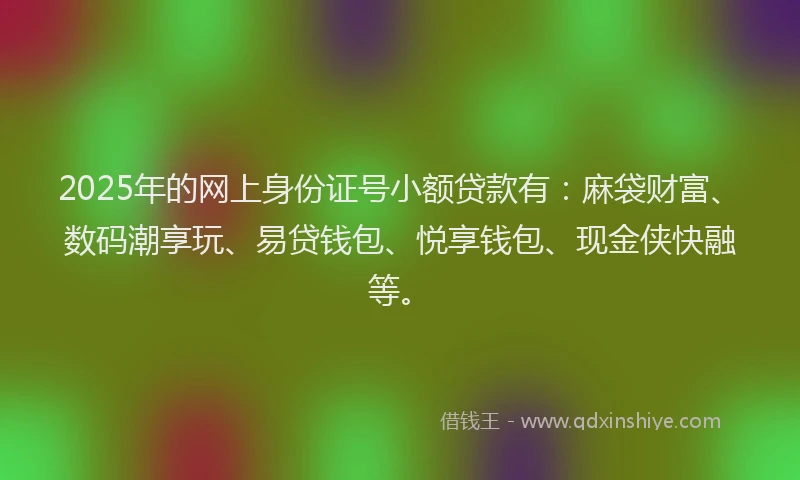 2025年的网上身份证号小额贷款有：麻袋财富、数码潮享玩、易贷钱包、悦享钱包、现金侠快融等。