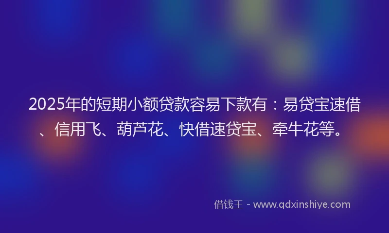 2025年的短期小额贷款容易下款有：易贷宝速借、信用飞、葫芦花、快借速贷宝、牵牛花等。