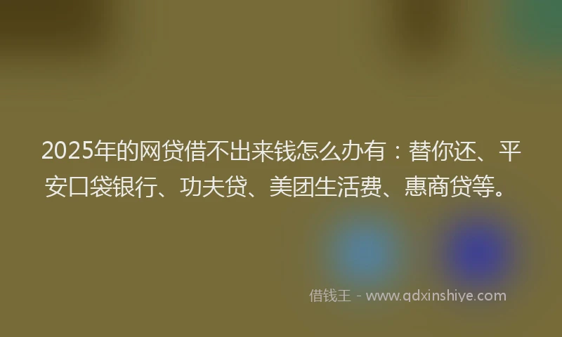 2025年的网贷借不出来钱怎么办有：替你还、平安口袋银行、功夫贷、美团生活费、惠商贷等。