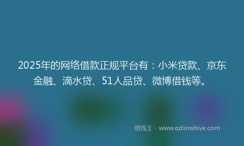 2025年的网络借款正规平台有：小米贷款、京东金融、滴水贷、51人品贷、微博借钱等。