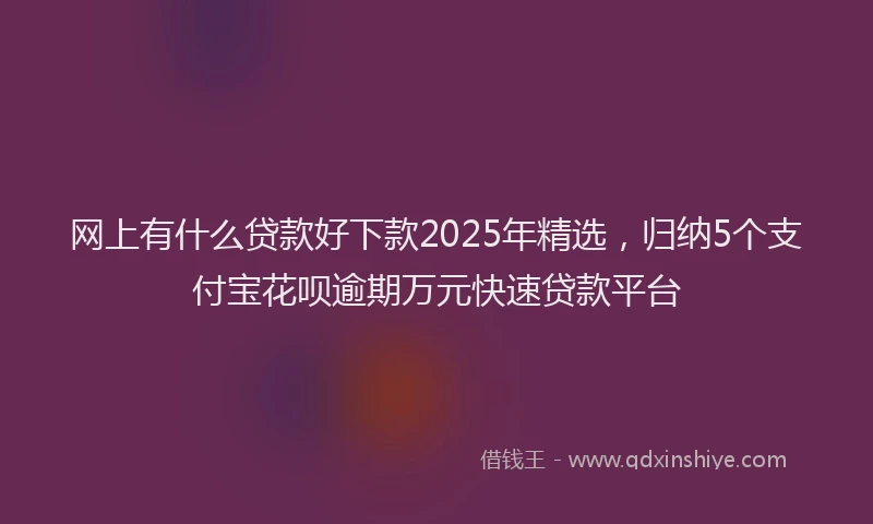 网上有什么贷款好下款2025年精选，归纳5个支付宝花呗逾期万元快速贷款平台